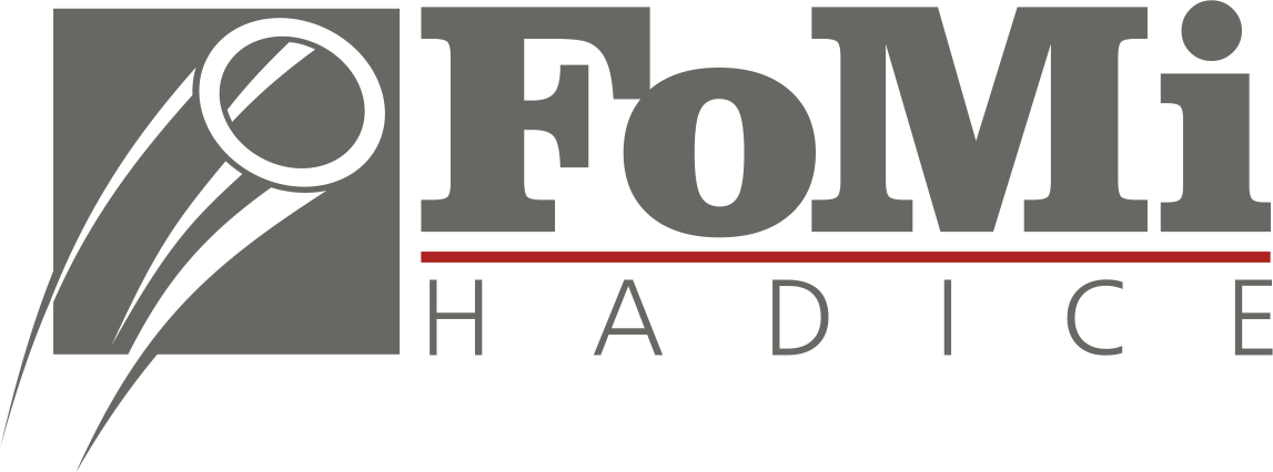 Fomi hadice